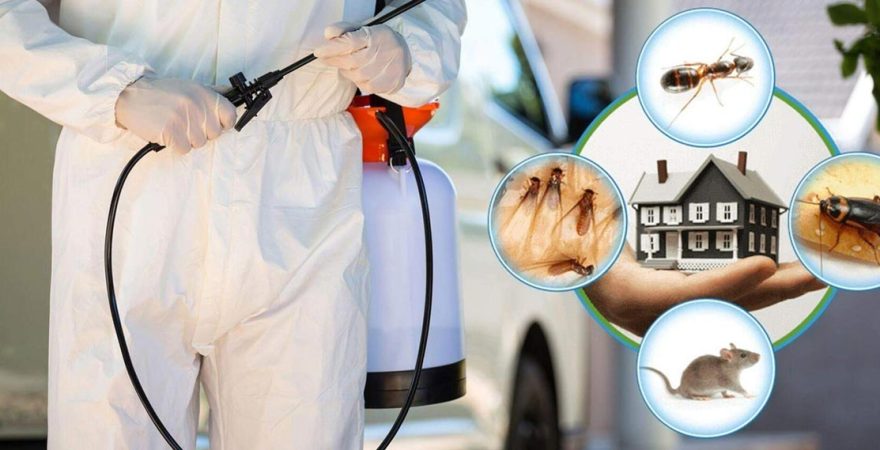 Karakeçili Böcek İlaçlama