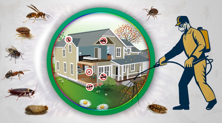 Karakeçili Böcek İlaçlama