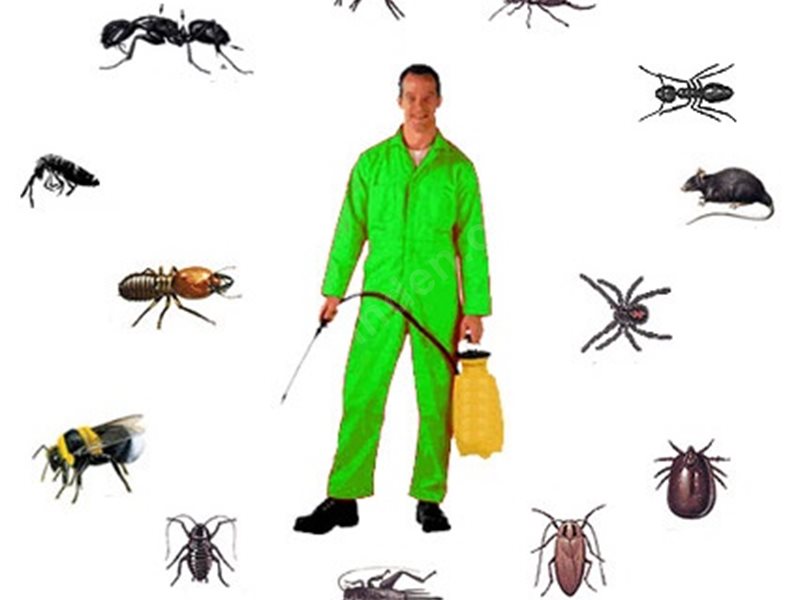 Karakeçili Böcek İlaçlama